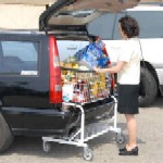 AutoCart Folding Utility Cart AC2000