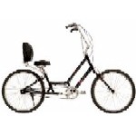 Dream One Semi Recumbent Bicycle D6BSS1