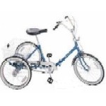 Adult Three Wheel Trike WM1002