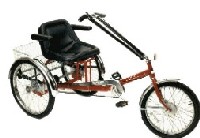 Adult Sport Trike WMPAV3