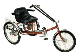 Adult Sport Trike WMPAV3
